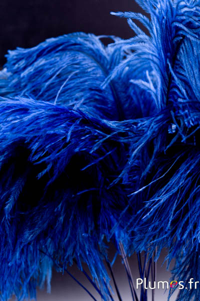 Panicule autruche - 35-40 cm - bleu-gris naturel